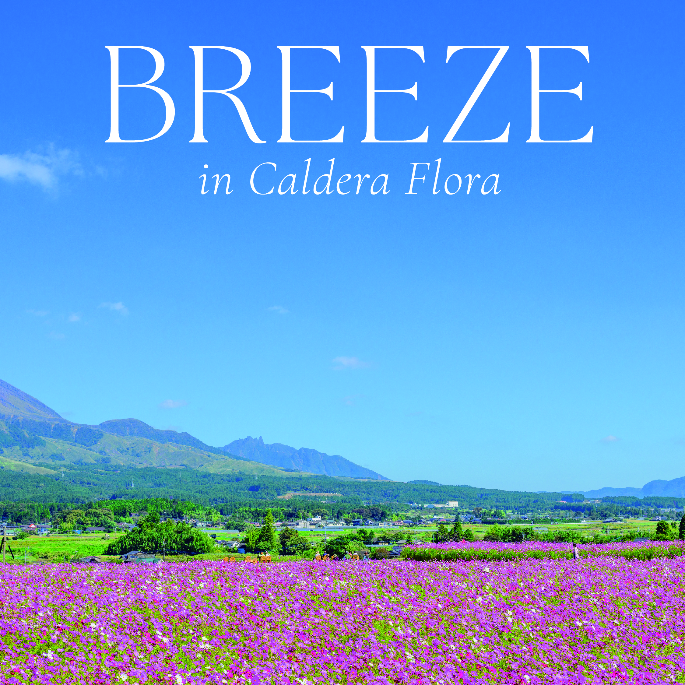 BREEZE